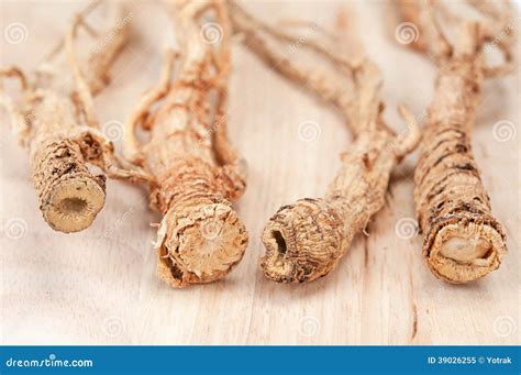 Dried Ginseng Stock Image Image Of Korean Background 39026255