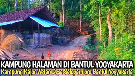 SUASANA KAMPUNG HALAMAN DI PEDESAAN BANTUL YOGYAKARTA KAMPUNG KAJOR