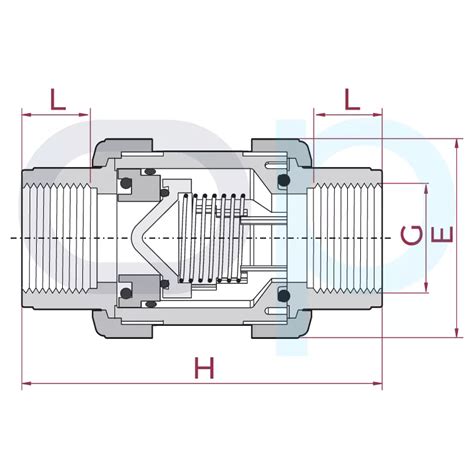 Válvula antirretorno PVC EPDM roscada Outlet Piscinas