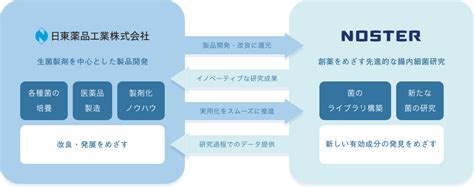 研究開発戦略 研究開発｜日東薬品工業株式会社