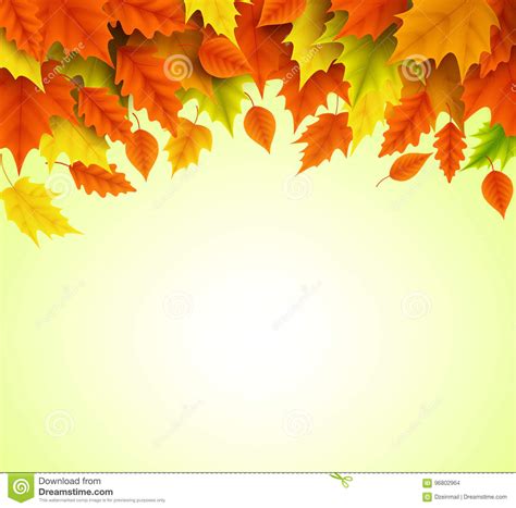 Autumn Background Vector Template Of Orange And Yellow Maple Leaves