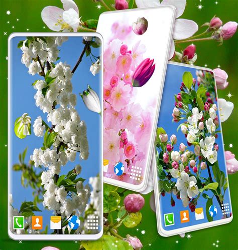 Cherry Blossom 3D Wallpaper для Андроид - скачать APK