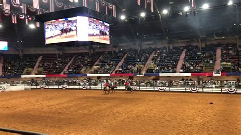 Fort Worth Texas Rodeo February 23 2024 Olympics Camel Corilla