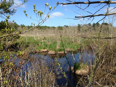 Camp Wing Conservation Area (Duxbury) - North and South Rivers ...