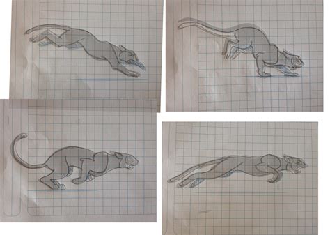 Panther running animation on Behance