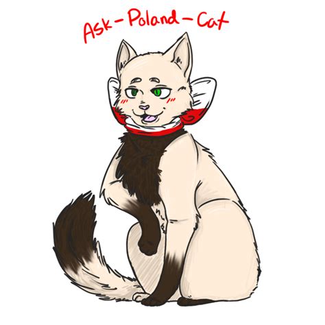 Ask-Poland-Cat (Aleksander) | DeviantArt