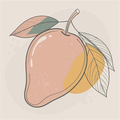 Premium Vector Fruit Mango Vector Illustration