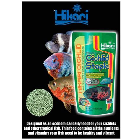 Buy Hikari Cichlid Staple Fish Food Medium Pellet Online At Best