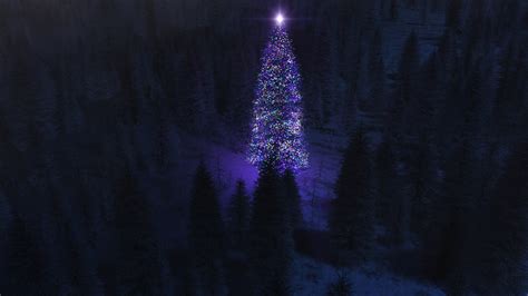 1920x1080 forest, lights, night, Christmas tree - Coolwallpapers.me!