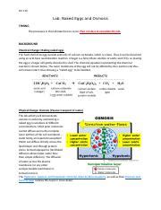 SCI 110 Lab Naked Eggs And Osmosis Docx SCI 110 Lab Naked Eggs And