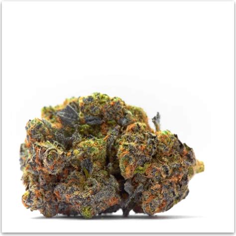 Lemon Cherry Gelato - Gelato Strains