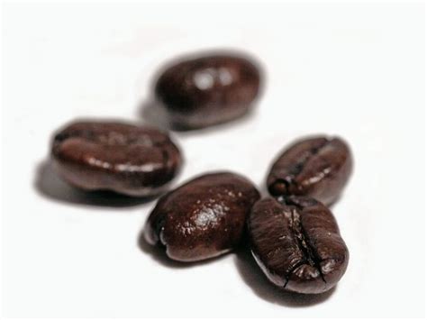 Sourcing Thai Arabica coffee beans for export, Thai coffee beans, suppliers of Thai coffee beans ...