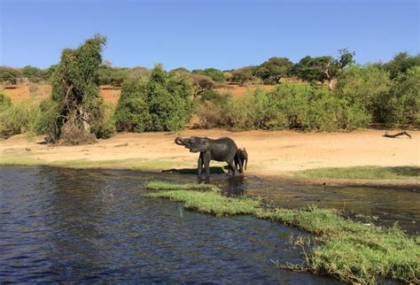 Chobe River Southern Africa Escorted Tours