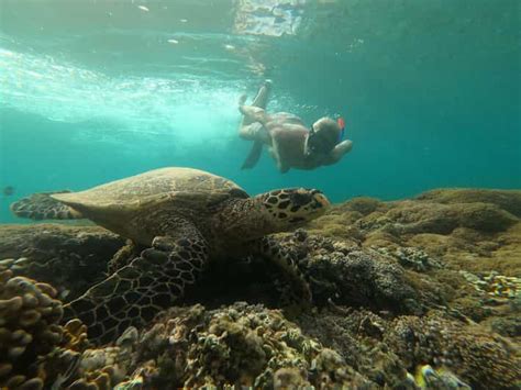 Private Snorkeling Trip Gili Air