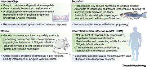 Recent Advances In Modelling Shigella Infection Trends In Microbiology