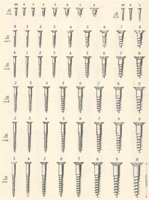 Understanding Screw Sizes