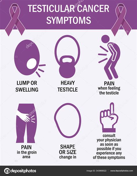 Testicular Cancer Symptoms Infographics Pictogram Icons Vector