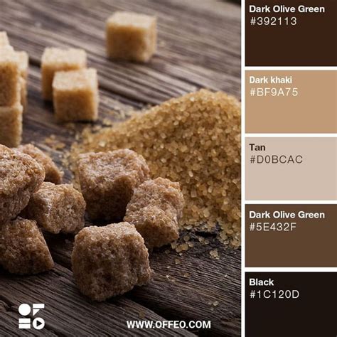 Earth Tone Color Palette For Inspiration Offeo Shades Of Brown