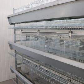 Hot Dipped Galvanized H Type Poultry Cage Running Feeder Chicken Wire