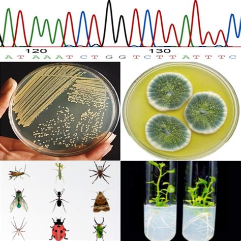 Microbial Identification System At Best Price In India