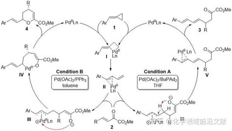 五邑大学彭金宝课题组org Lett：钯催化acps与βγ 不饱和α 酮酸酯的亲核反应：配体调控的发散性合成 知乎