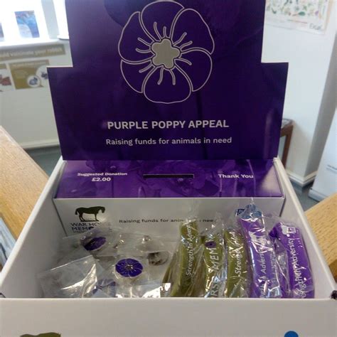 Purple Poppies Are On Sale Again In The Practice Please Help Us Raise Money For This Very