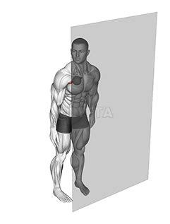 Roll Ball Pectoralis Major - Clavicular - Video Guide | Lyfta