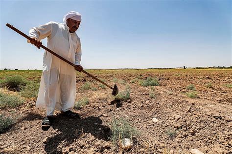 الزراعة والمياه النيابية العراق يمر بموت سريع جراء أزمة المياه