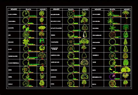 Planilla arbórea en AutoCAD Descargar CAD 1 65 MB Bibliocad