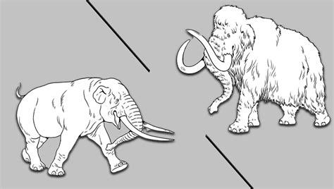 Mastodon Vs Mammoth: What's The Difference? | IFLScience