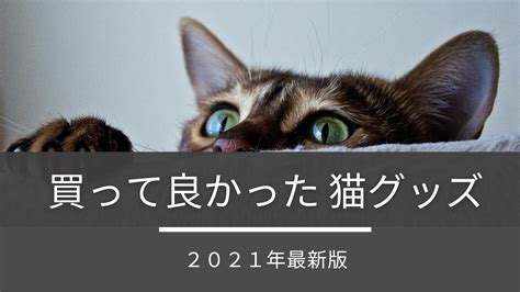 【2021年ベストバイ】本当に買ってよかった！本気でおすすめしたい愛用猫グッズ マオサーチ