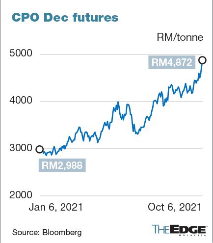 Plantation stocks at multi-month highs as CPO futures breach RM5,000