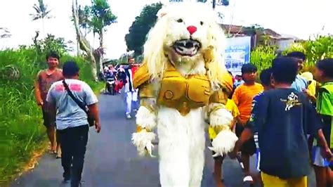 Ini Macan Ba Lakek Diiringi Drumband Ba Lakek Arak Arakan Pawai Kejar