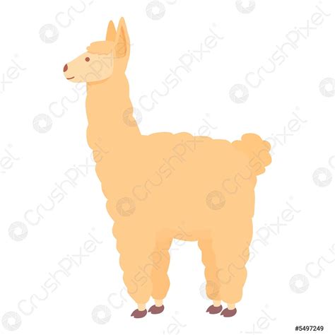 funny animal videos lama 1