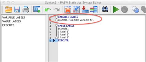 Using Syntax To Assign Variable Labels And Value Labels In SPSS