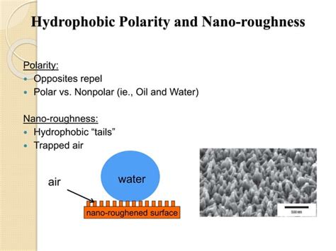 Hydrophilic & hydrophobic presentation