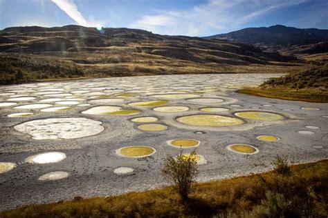 World's Beautiful Landscapes.: Spotted Lake, Canadian town of Osoyoos