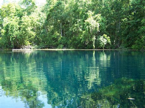 20 Best Freshwater Springs In Florida Roveratlas