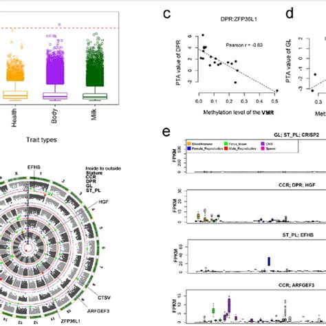 Relationship Between Methylation Variations In Sperm And Complex