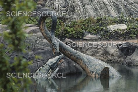 Tylosaurus And Elasmosaurus Stock Image Science Source Images