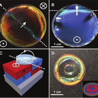 Structure and morphology of hemozoin crystals. (a) Triclinic structure ...