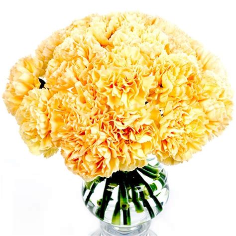 Carnations Peach Send Carnations Nationwide Flowers By Flourish