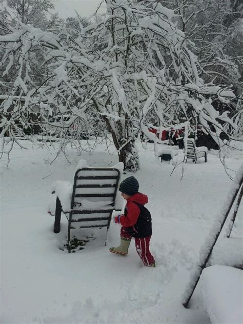 Blizzard - Welch, WV | West virginia, Blizzard, Snow