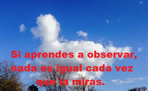 Imagenes Con Frases Si Aprendes A Observar