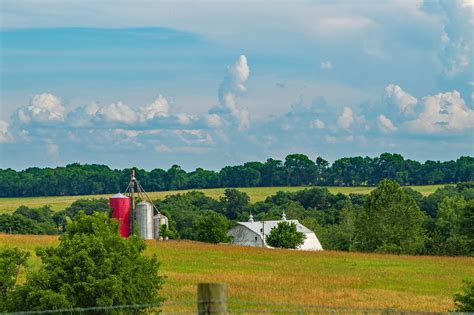 How to plant and establish trees and shrubs in dry Canadian prairies ...