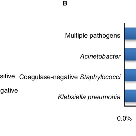 A Blood Culture Results Among Septic Neonates B Microorganisms