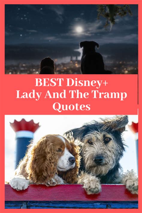 Best Lady And The Tramp Quotes Review Of Disney Plus Movie