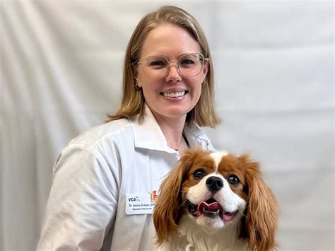 Vca New London Animal Hospital Staff Page