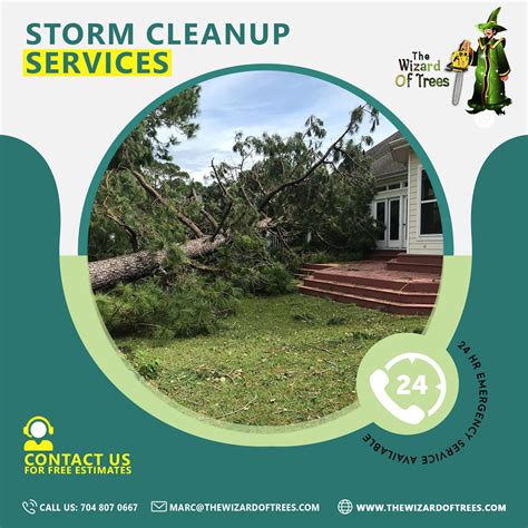 storm debris removal near me - loretabrodeur