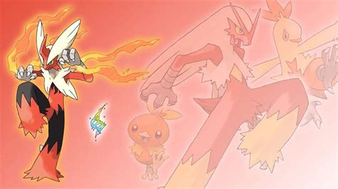 Pokemon Combusken Evolution